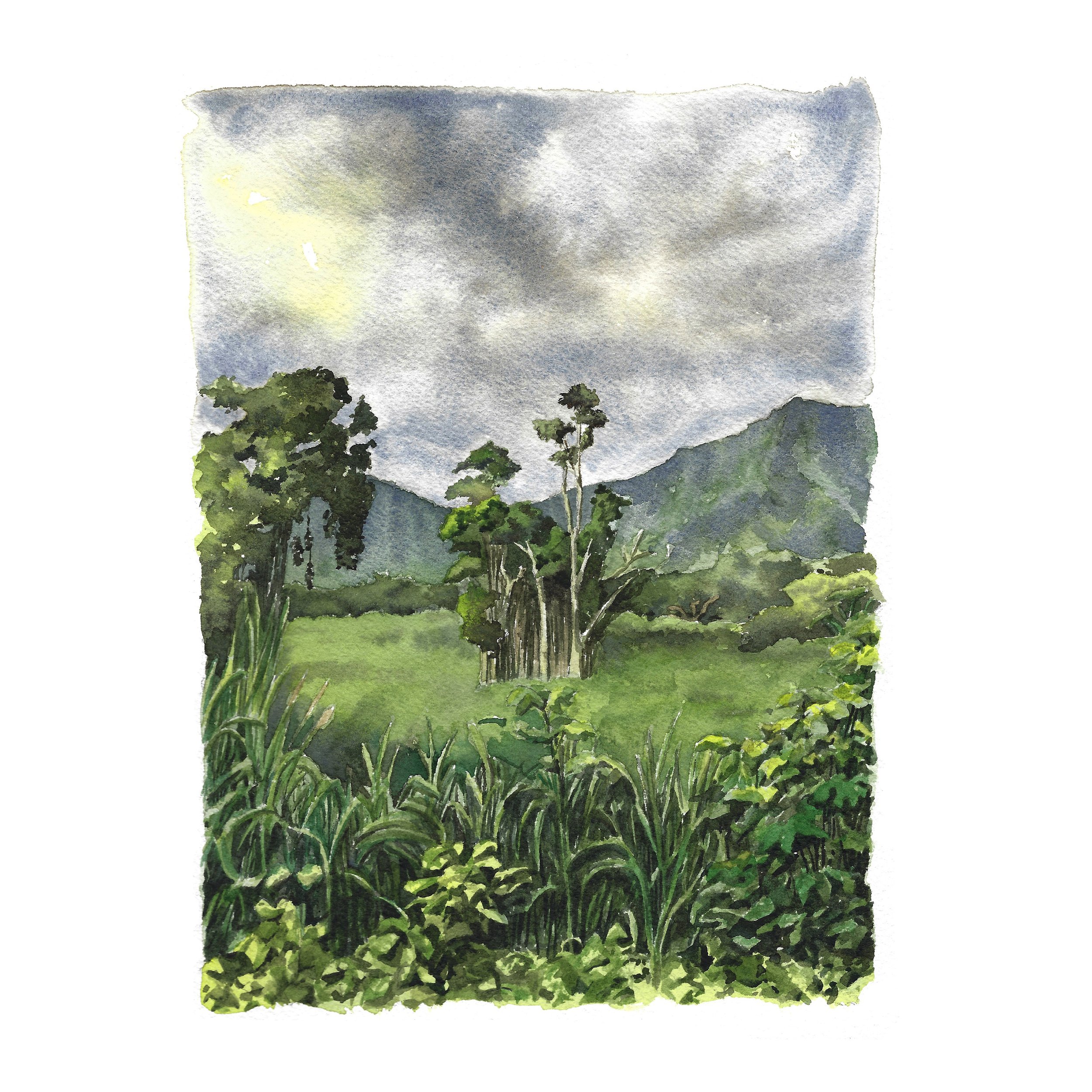 Maunawili