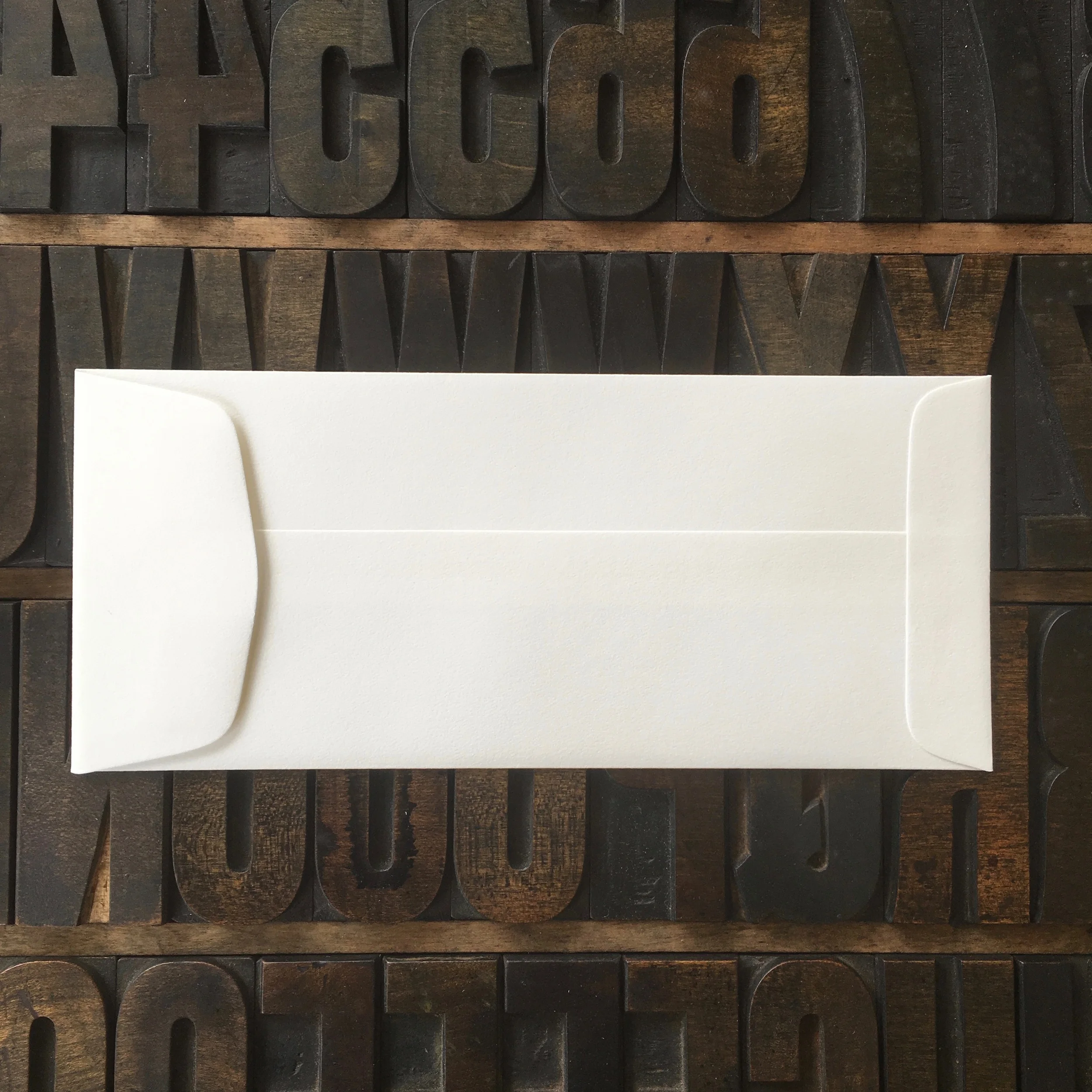 Policy #10 (241 x 105mm) 