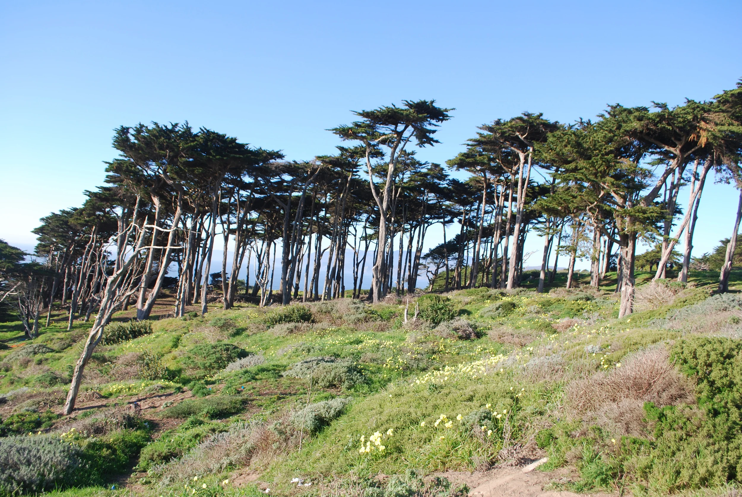 Fort Miley. San Francisco, California.