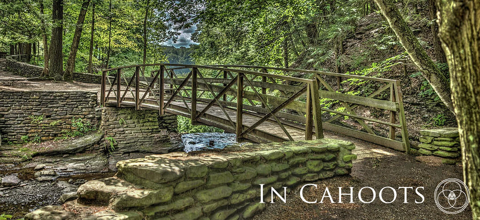 InCahoots Image for Home page.jpg
