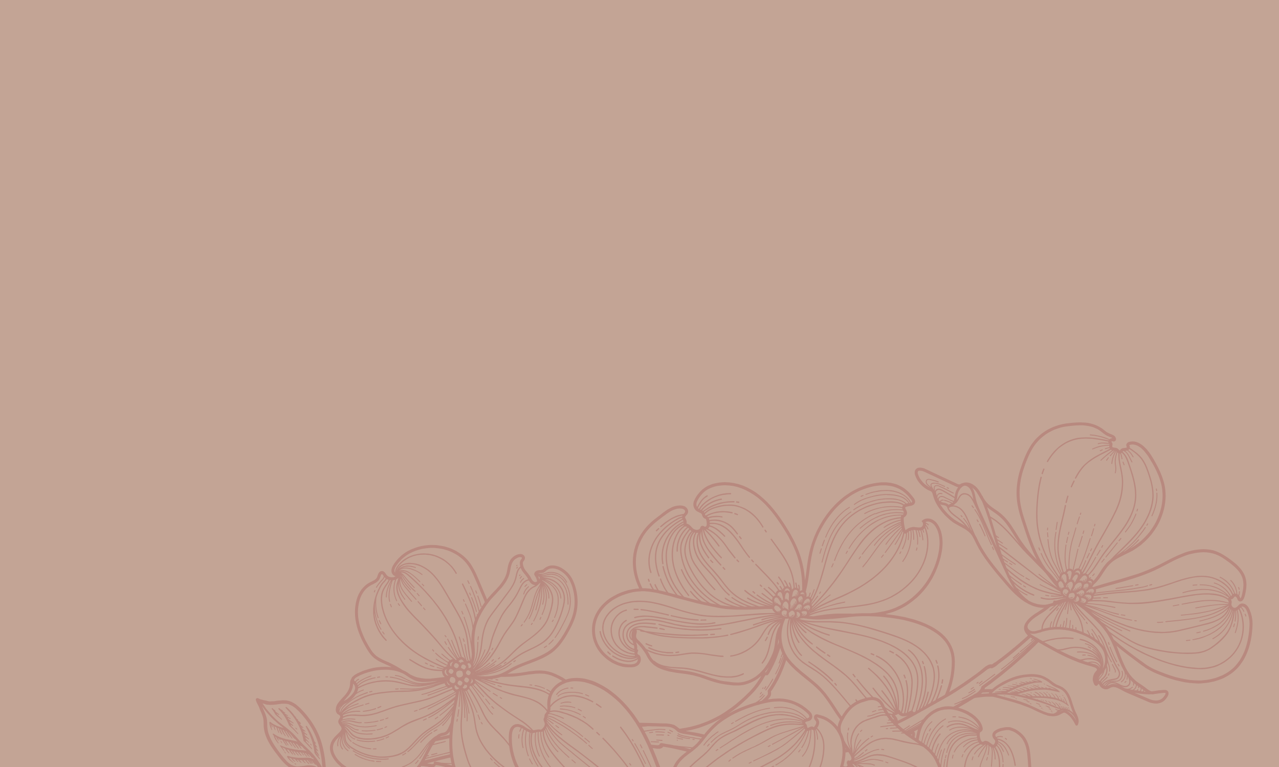 Coverpage no text.png