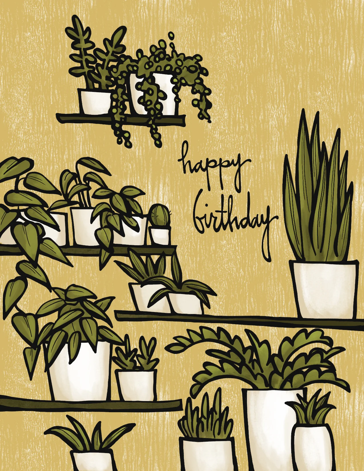 House Plant Birthday.jpg