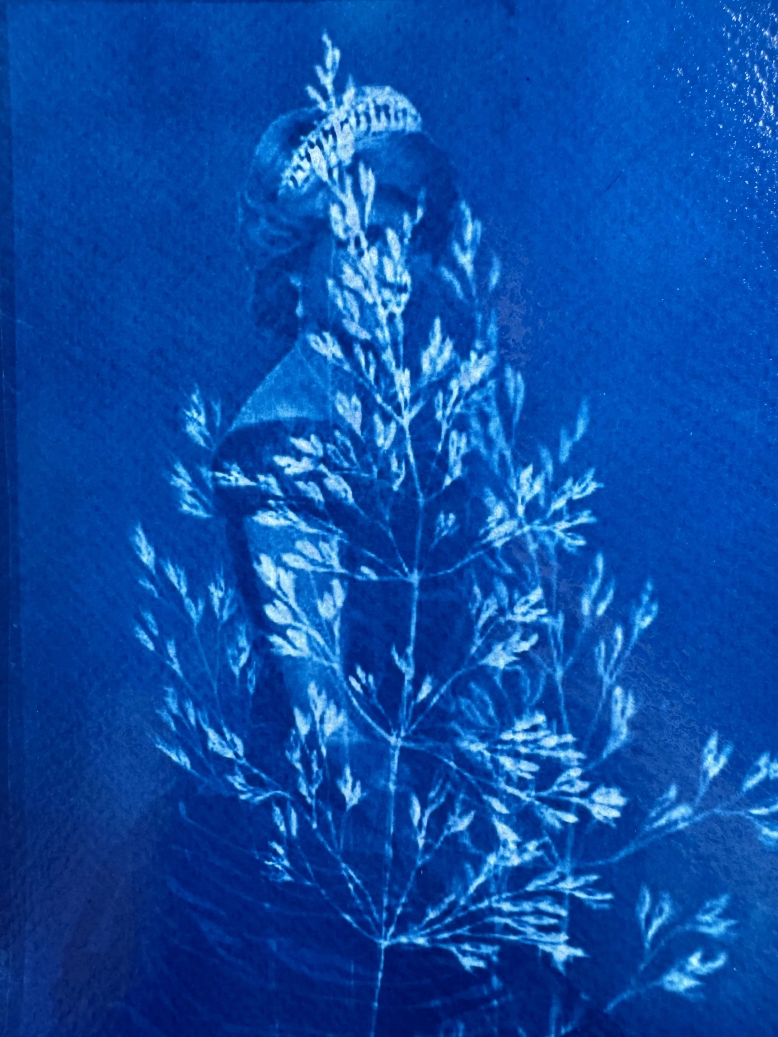 Intro to cyanotype
