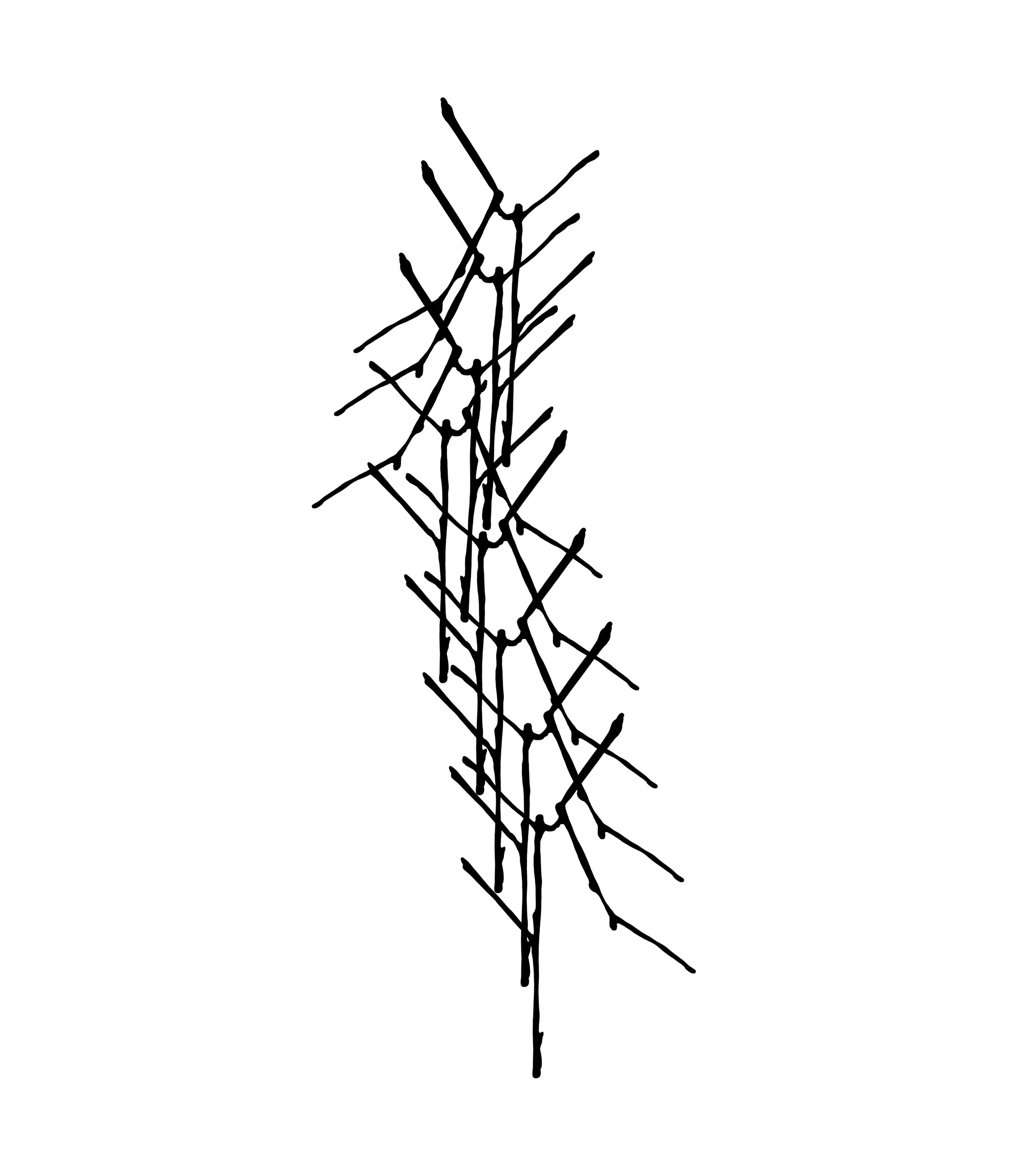 Untitled_Artwork 111.jpg