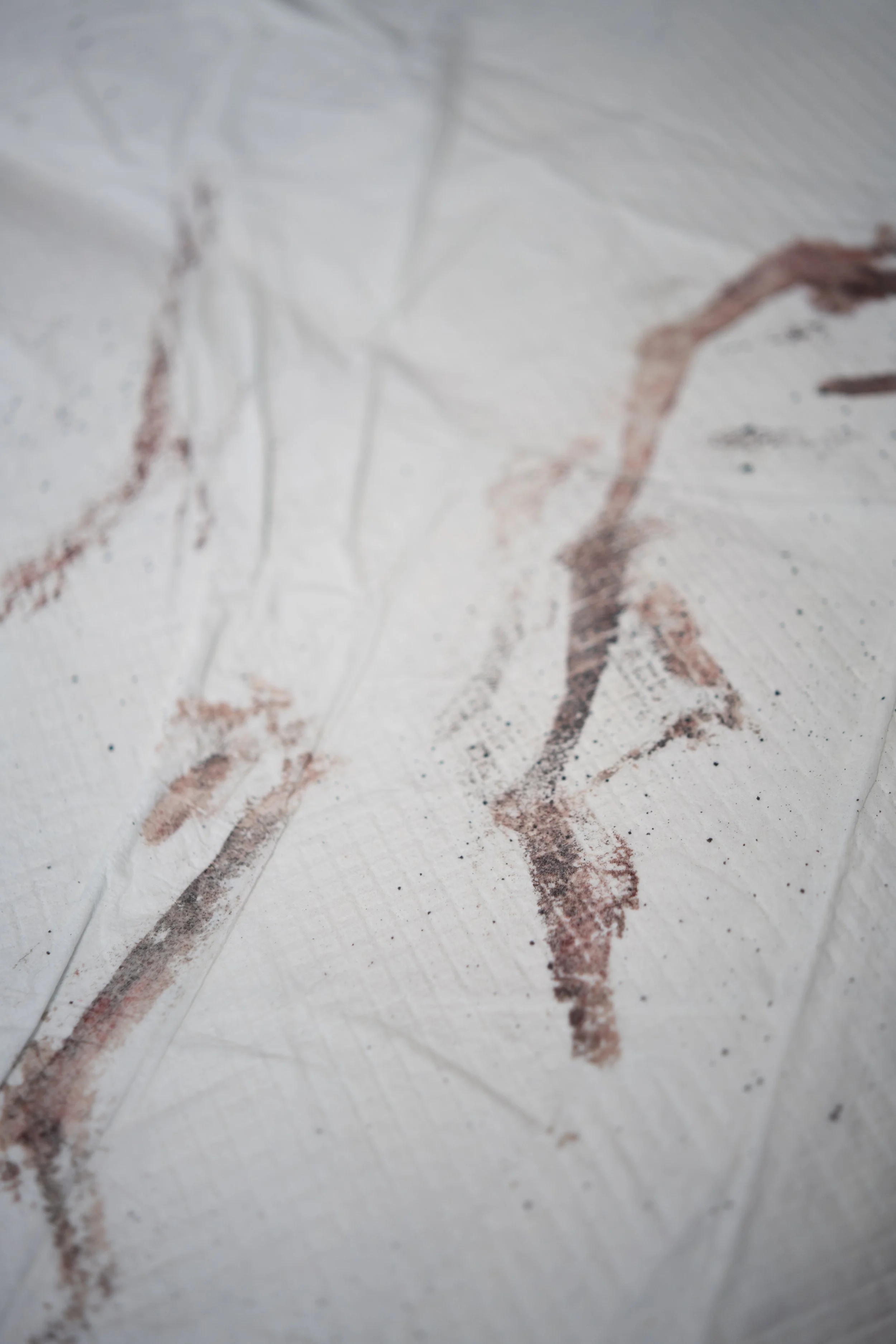 LeftBehind-24.jpg