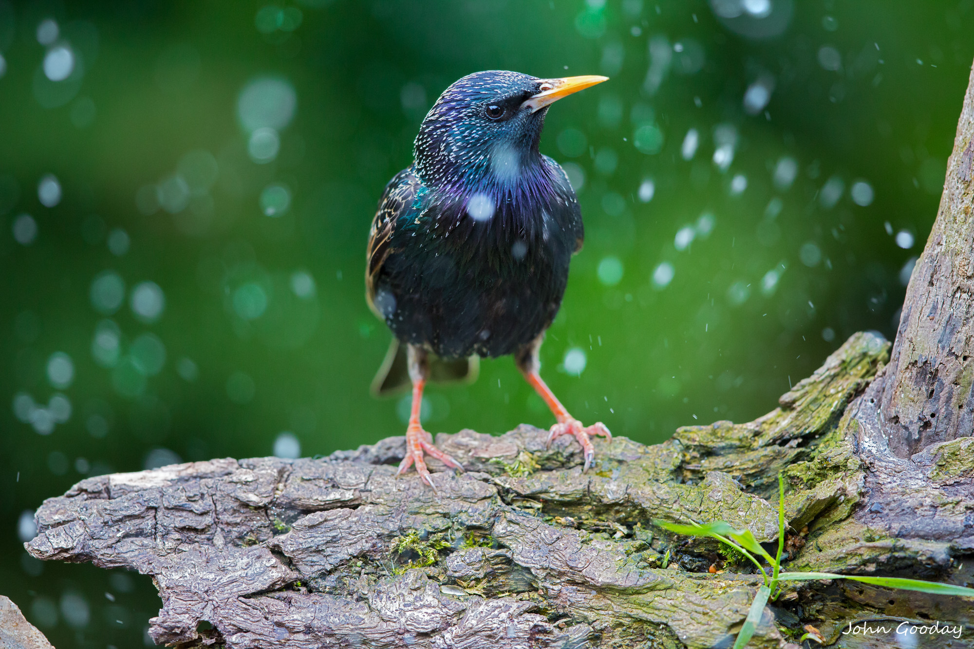 Raindrops keep falling on my head