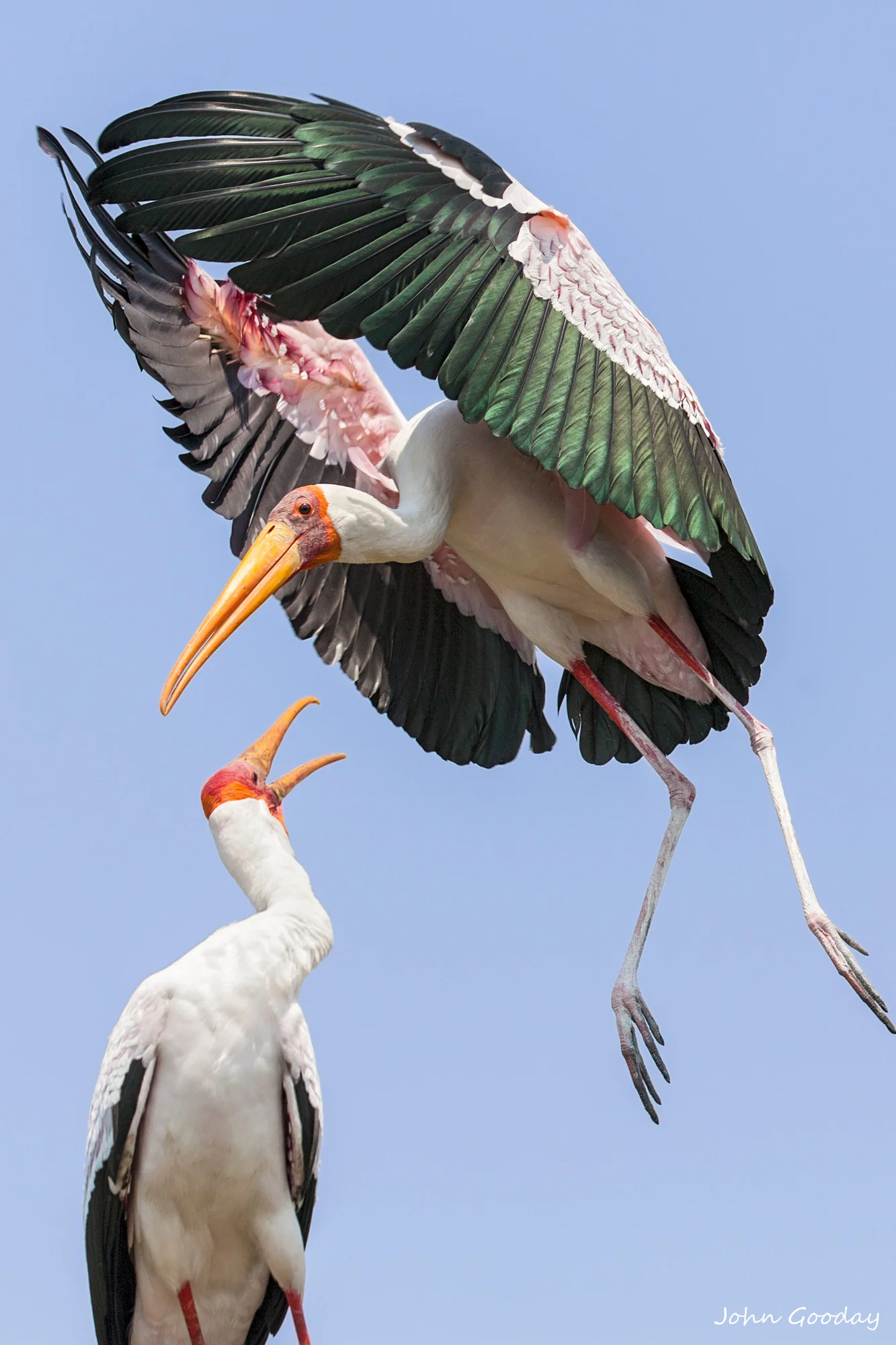 Territorial dispute