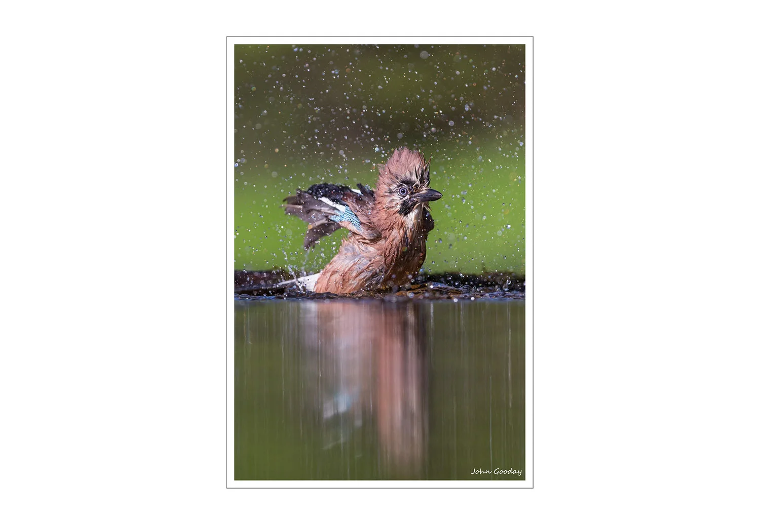 jay 8 bit sRGB WEBFRAME _D5A1805 Website.jpg
