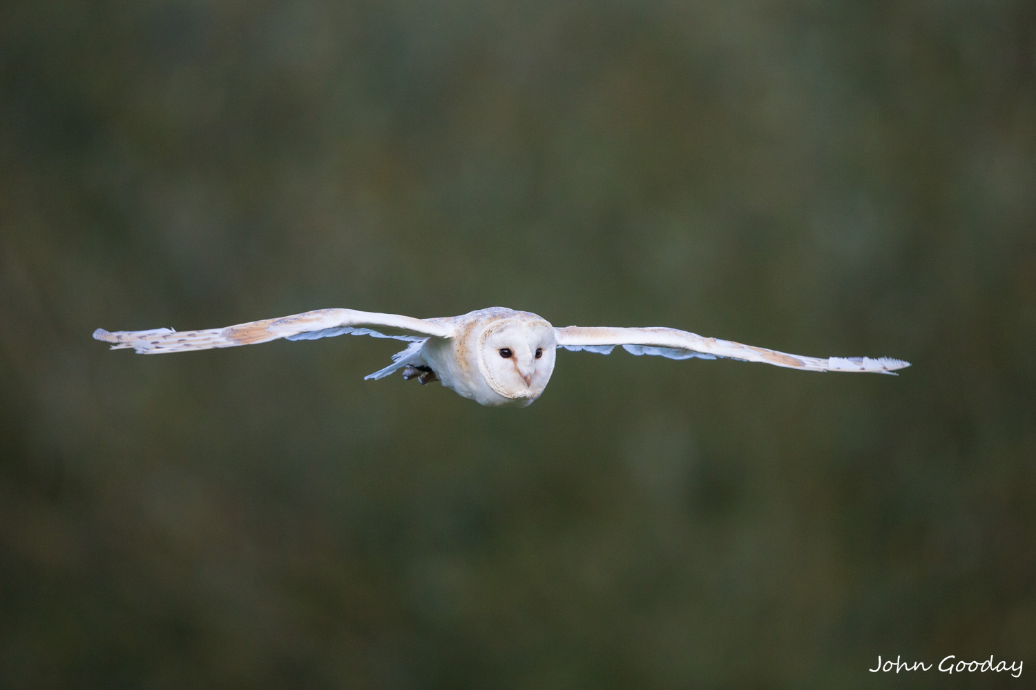 _70R9692  Website.jpg