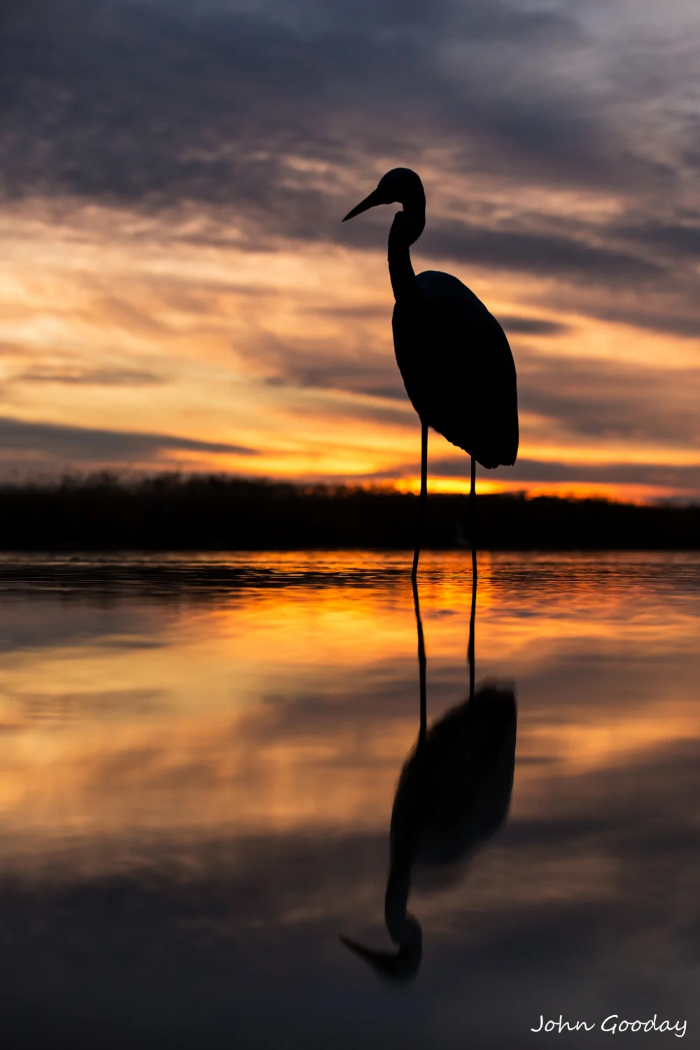 egret silhouette8 bit sRGB  _UN_0819  Website.jpg
