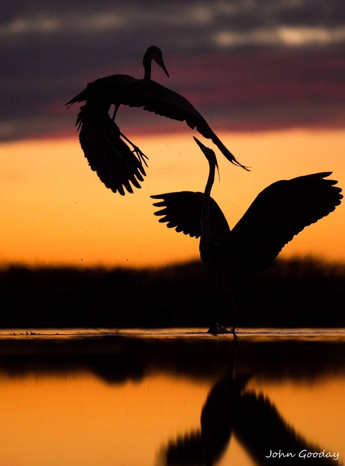 PP_-4964  Website.jpg
