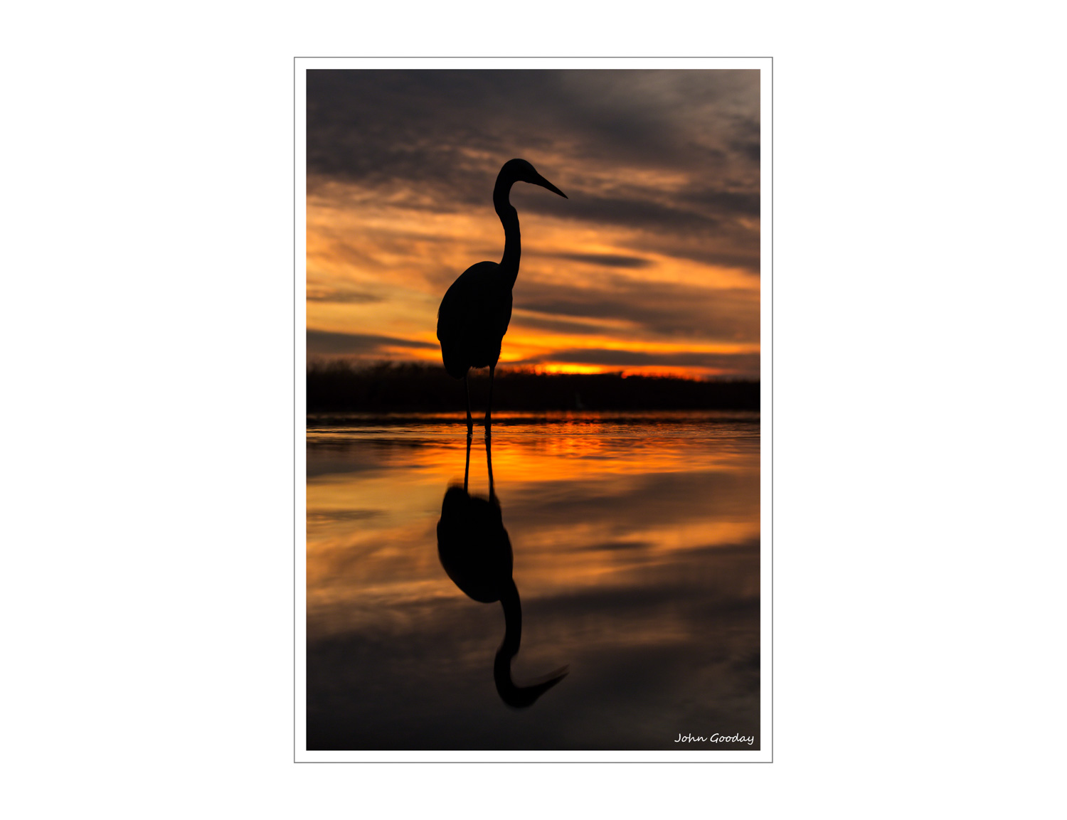(Image: Great Egret at sunset. Canon EOS 5D Mark III, EF70-200mm f/2.8L IS II, 1/400 sec @ f/4.5, ISO 800, tripod, hide)