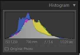 (Image: Histogram of photo as taken)