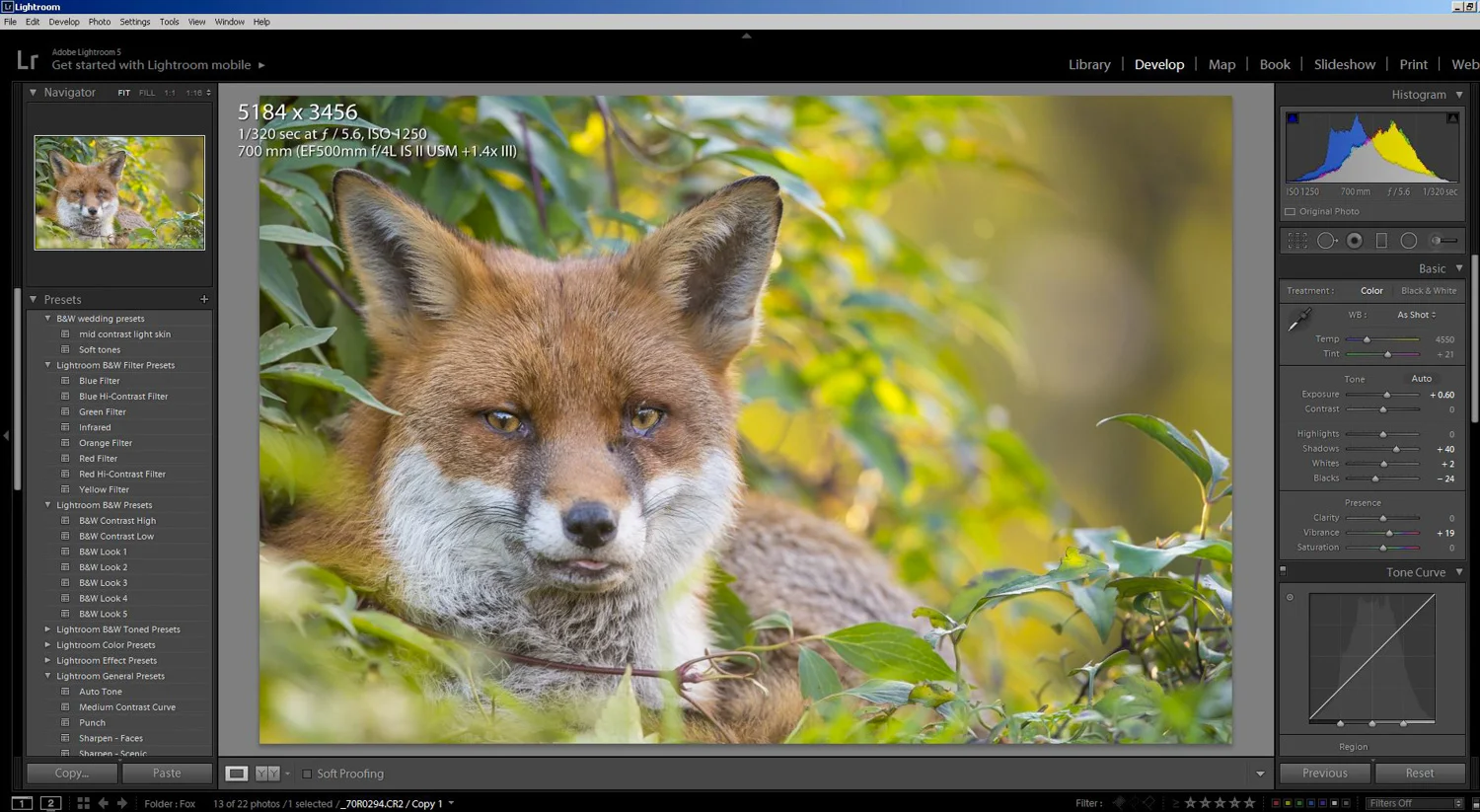 Fixing mixed shadow and light images using Lightroom or Adobe Camera Raw