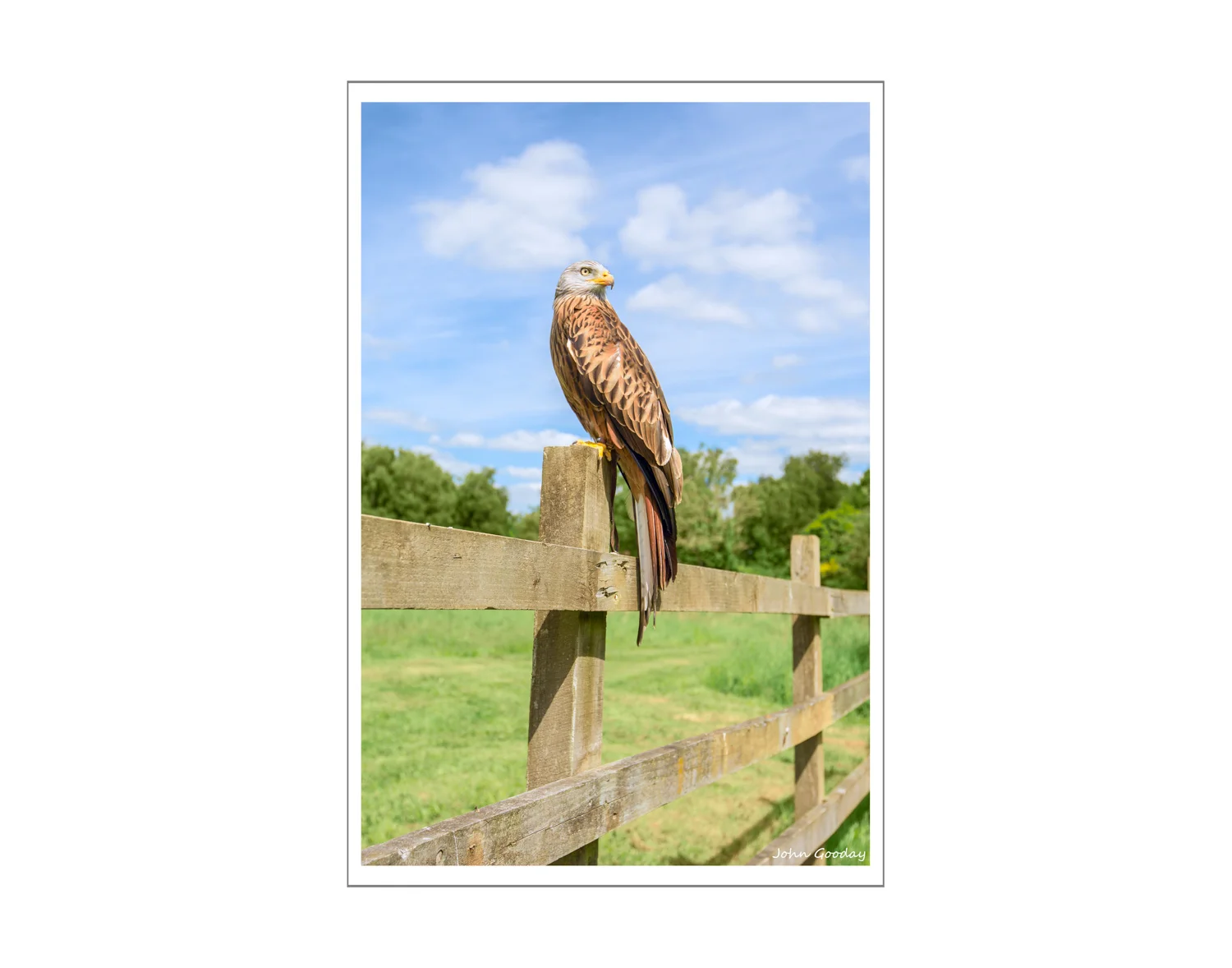 Adventures in LAB space: selective colour correction in a hurry