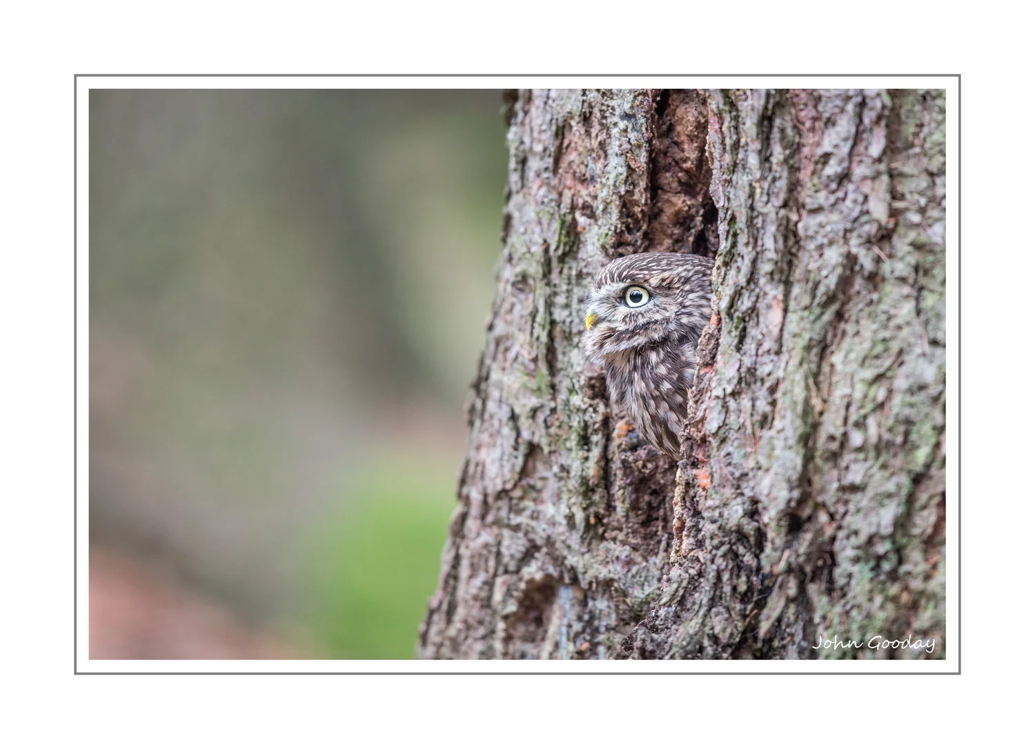 (Image: Pleasant, but pretty ordinary viewpoint. Canon EOS 1DX, EF500mm f/4L IS II, 1/200th sec @ f/4, ISO 800, tripod)