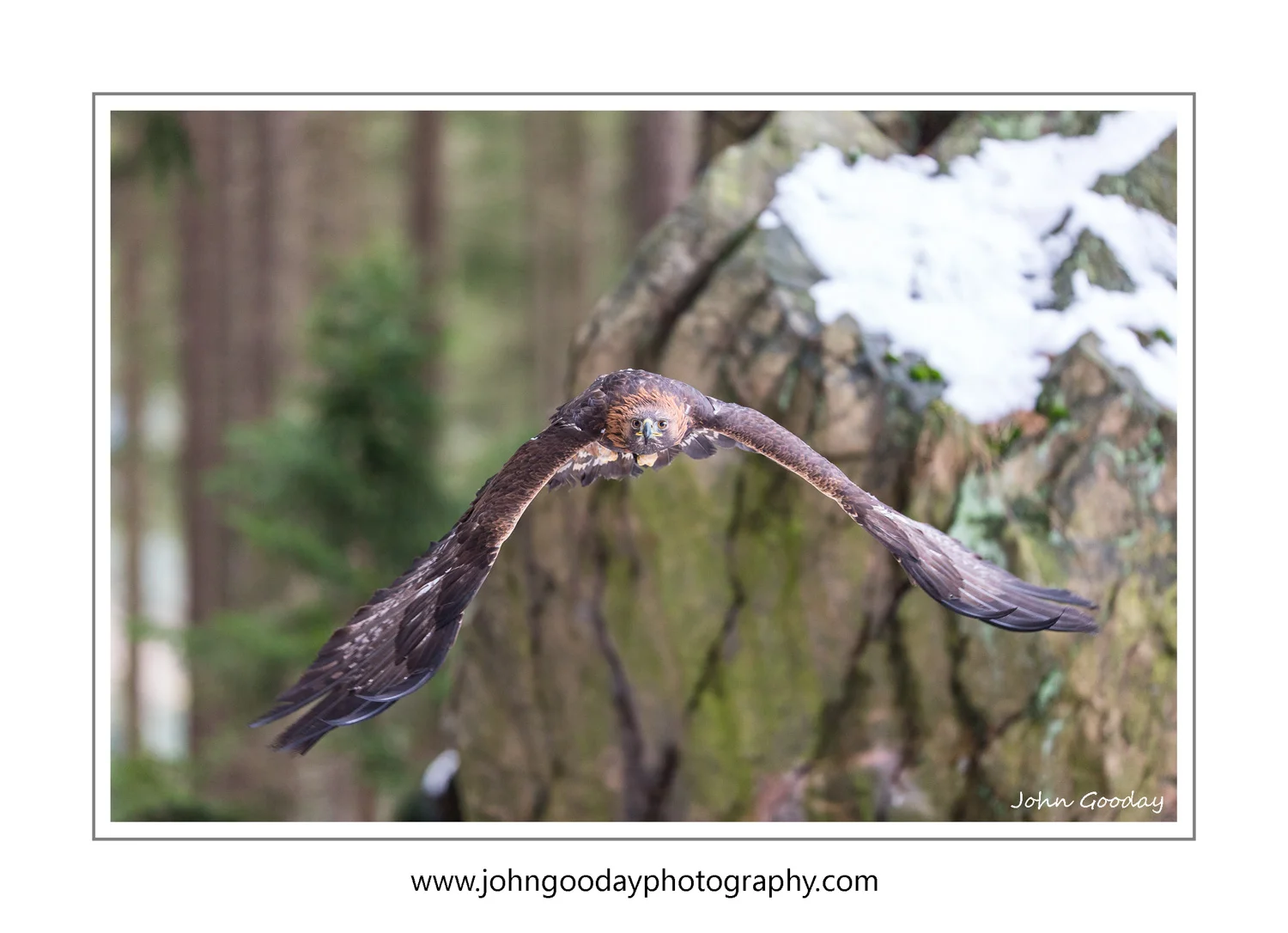 (Image: Canon EOS 1DX, EF200mm f/2L IS II, 1/1250 @ f/2.2, ISO 1600)