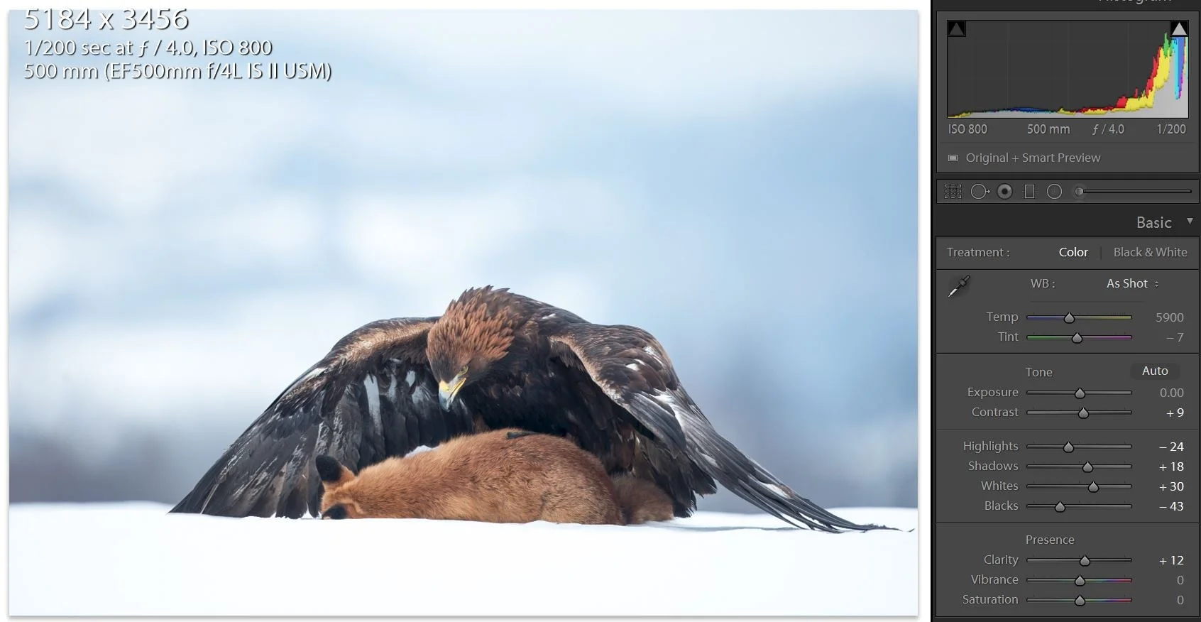 Fig 3: a few minor adjustments in lightroom puts lost contrast back into the image