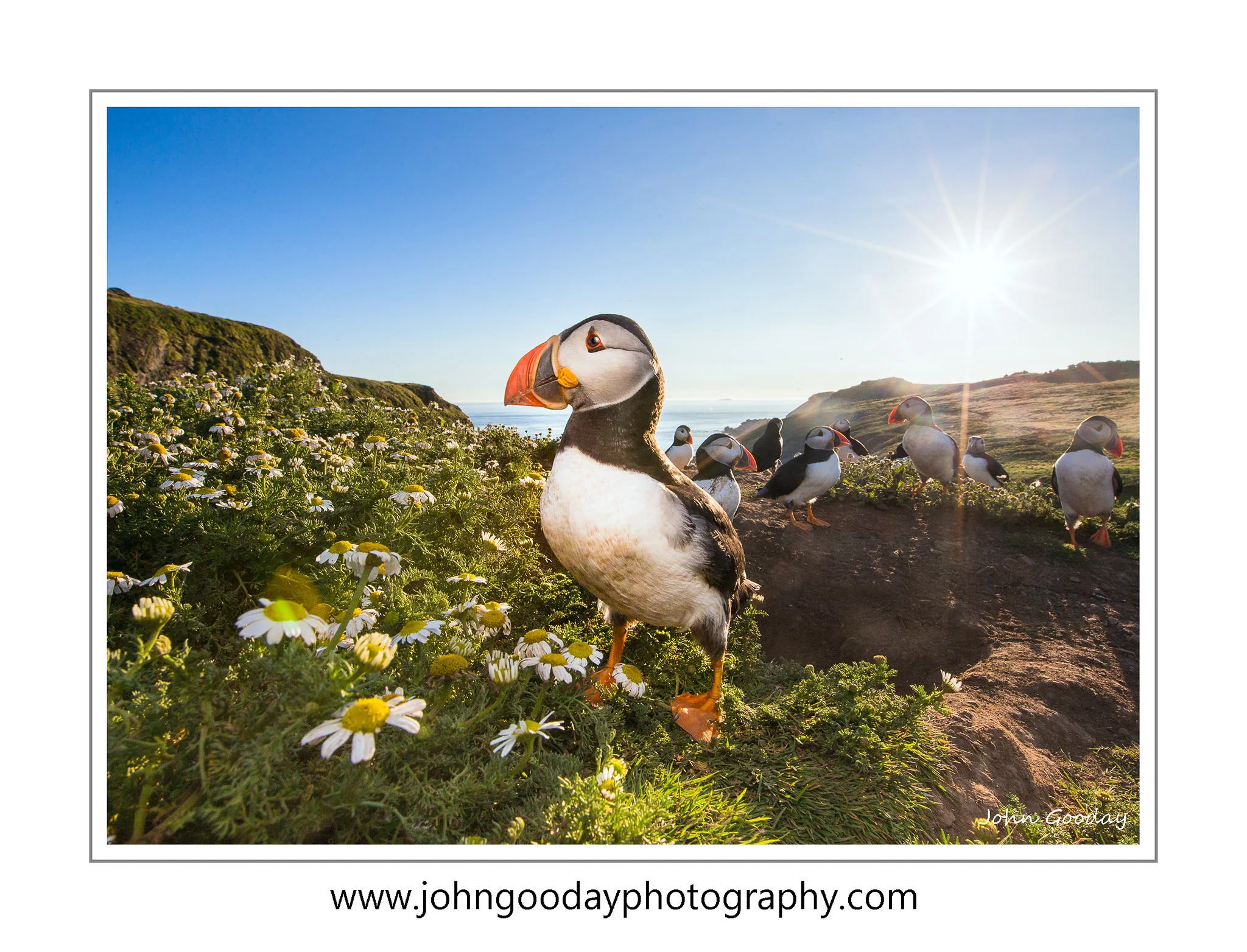 Canon EOS 1DX, EF16-35mm f/2.8L IS II, 1/250 sec, f/16, ISO 250, EX600-RT Speedlight with CTO gel and 30cm softbox
