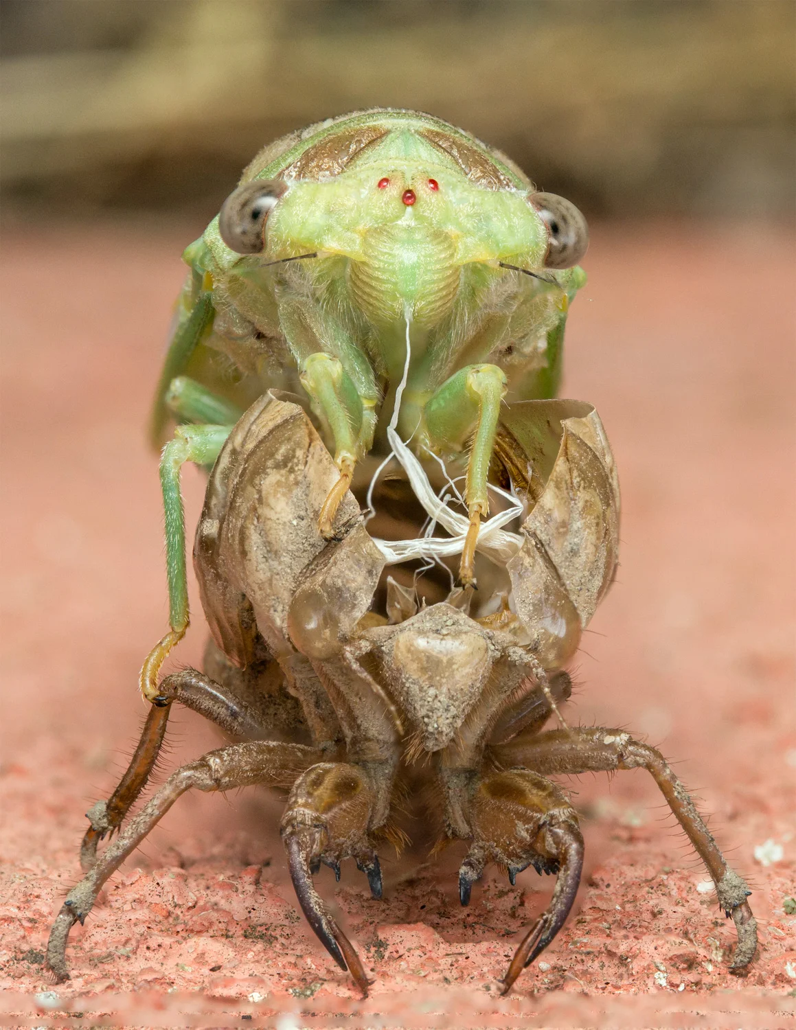 OK - I know this one is a bit yuk... but the lighting's quite nice, isn't it?