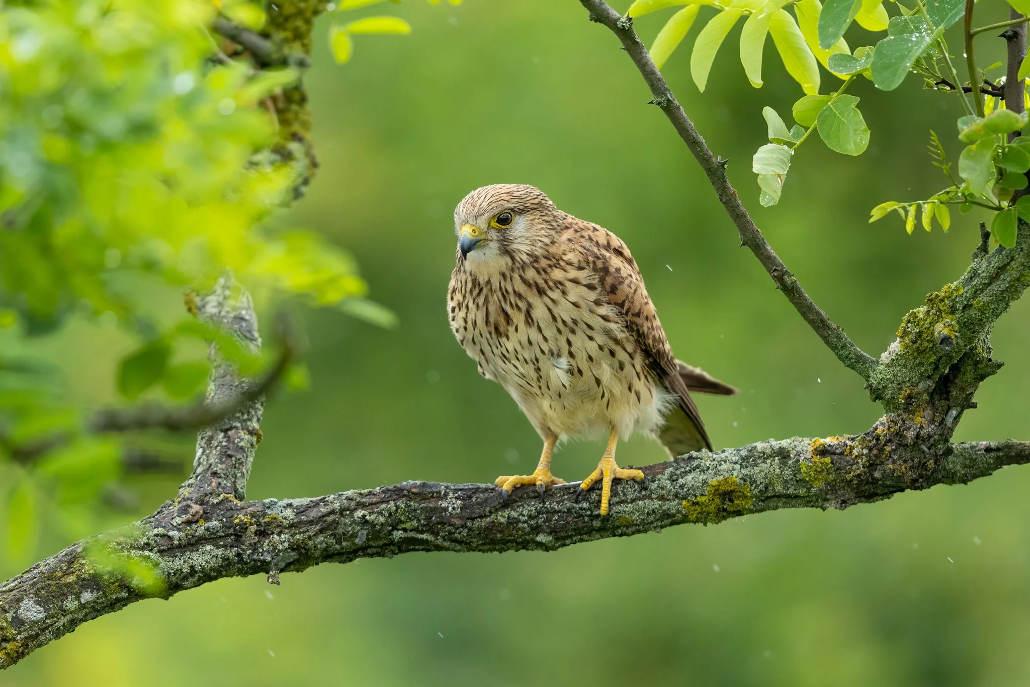 _R4A6379-Edit.jpg