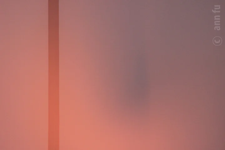 blush