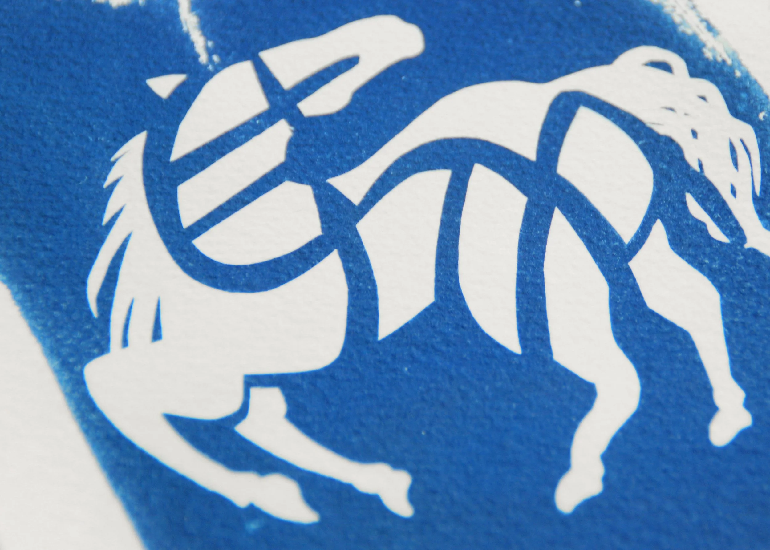 horse3-closeup.JPG