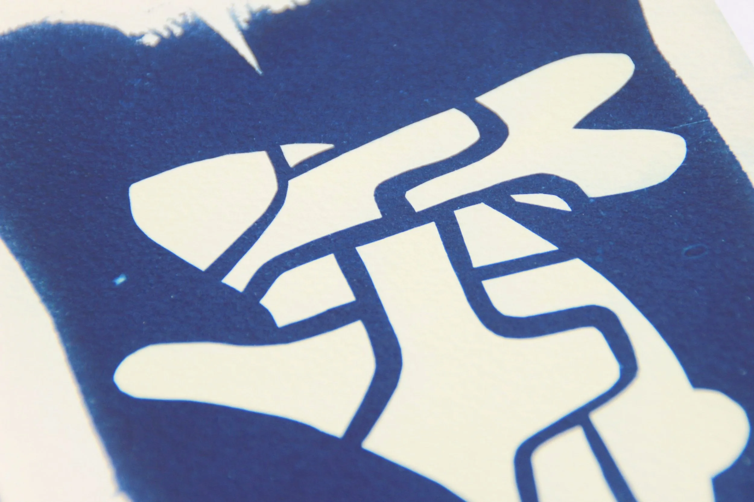 rabbit2-closeup.jpg