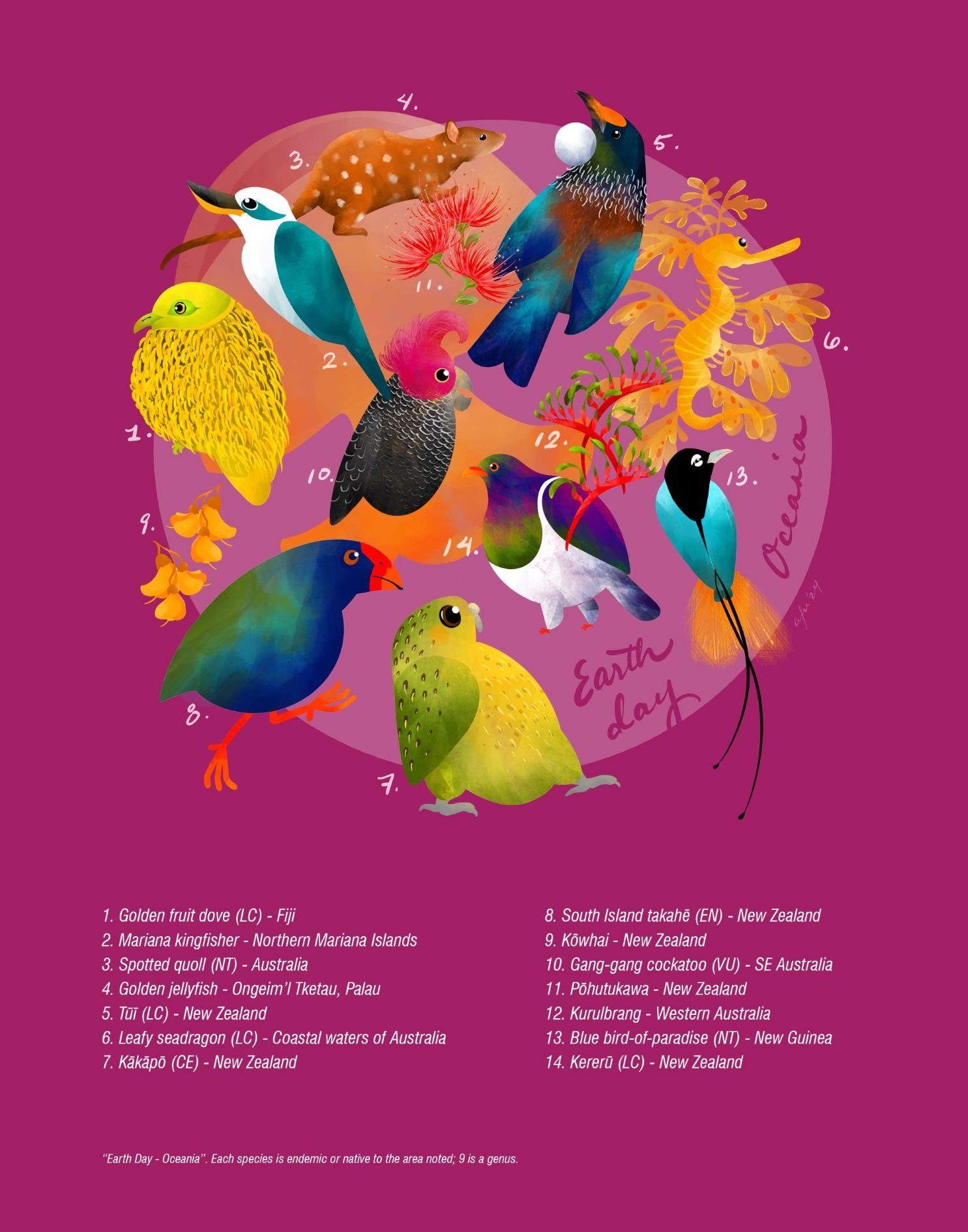 endemic wildlife of oceania, keyed