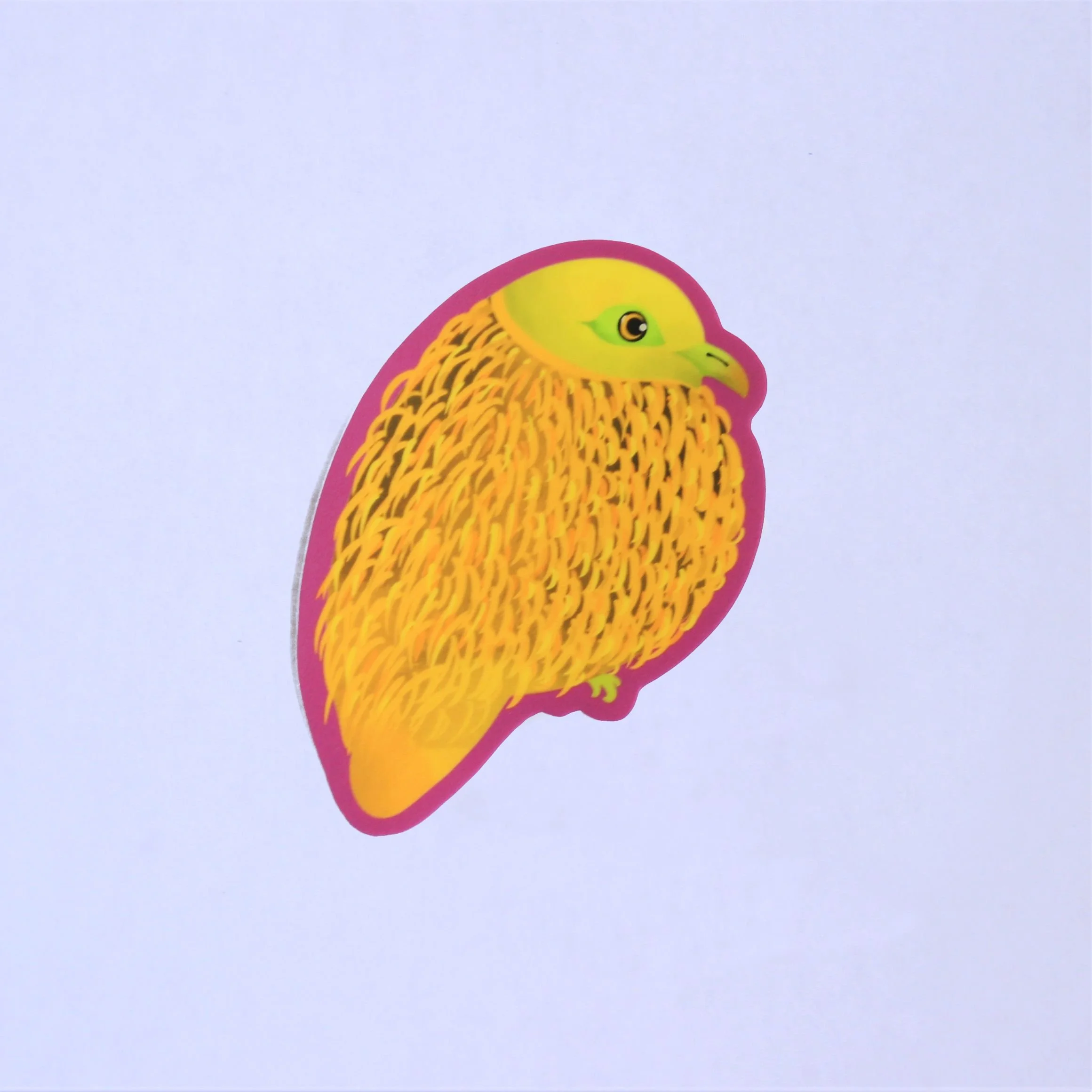 golden fruit dove 1.JPG