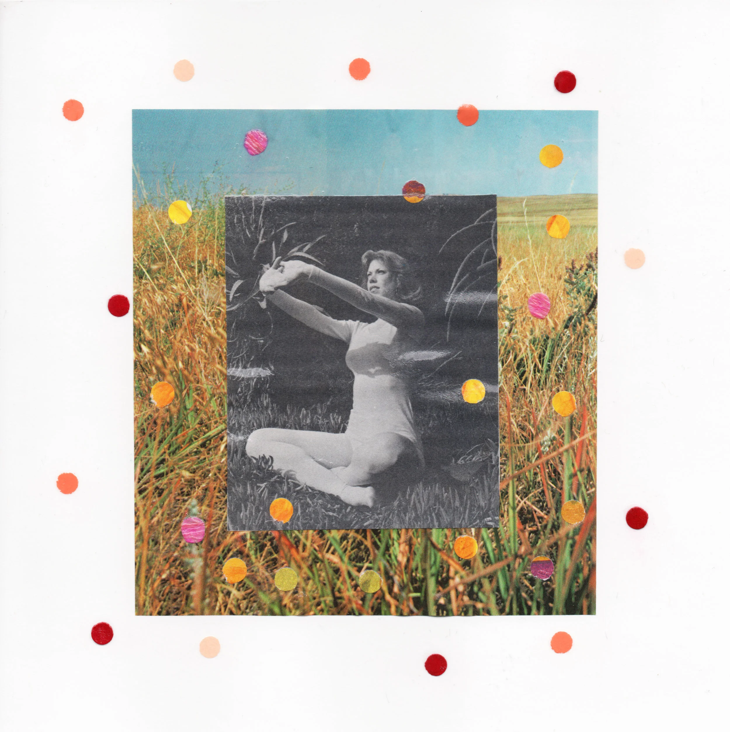 Field 2017 Collage 8x8 inches
