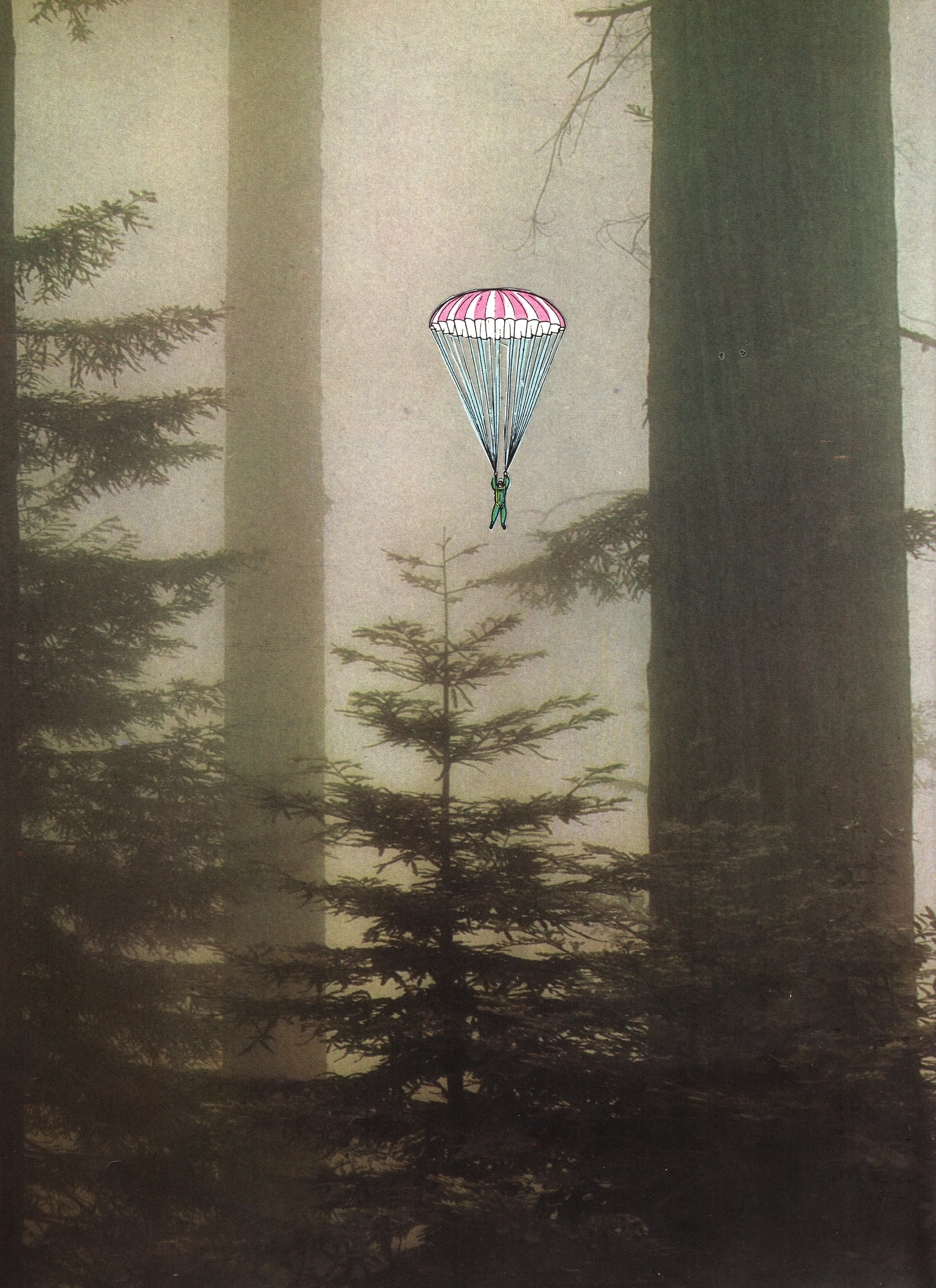 Rough Landing 2017 Collage 9.5 x 12 inches