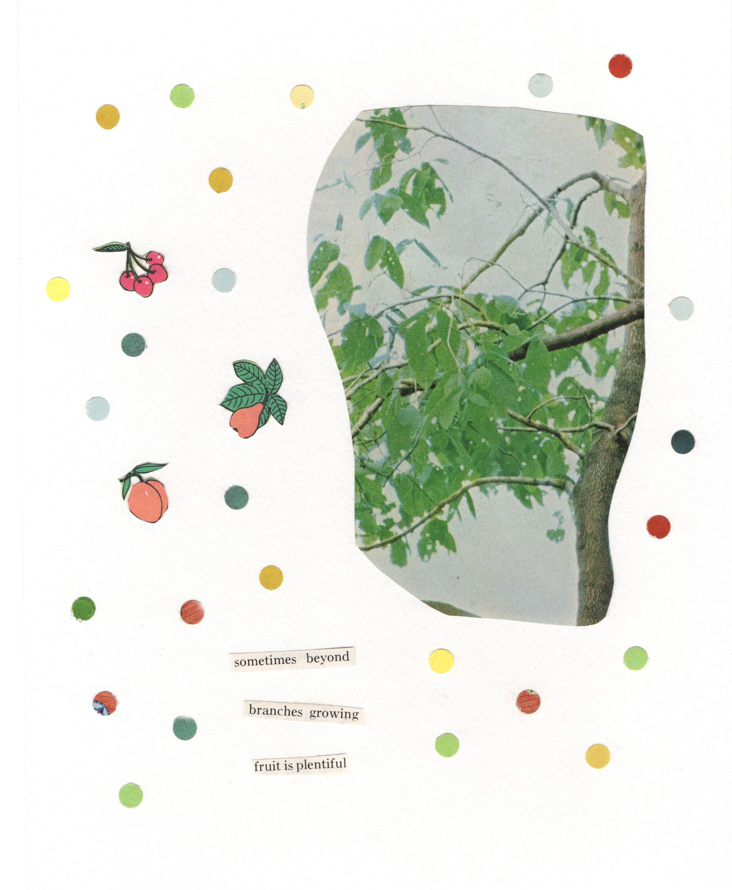 Beyond Branches Growing 2019 Collage 7 x 9 inches
