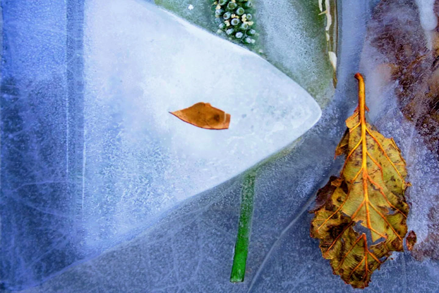 Frozen17-4x6.jpg