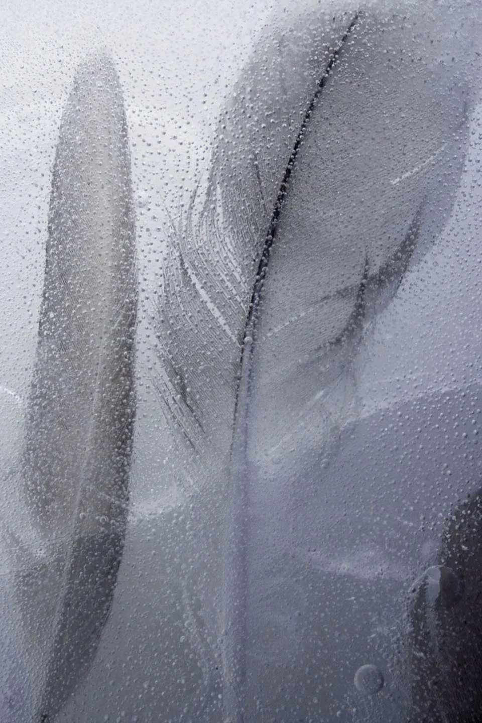 Frozen-7.jpg