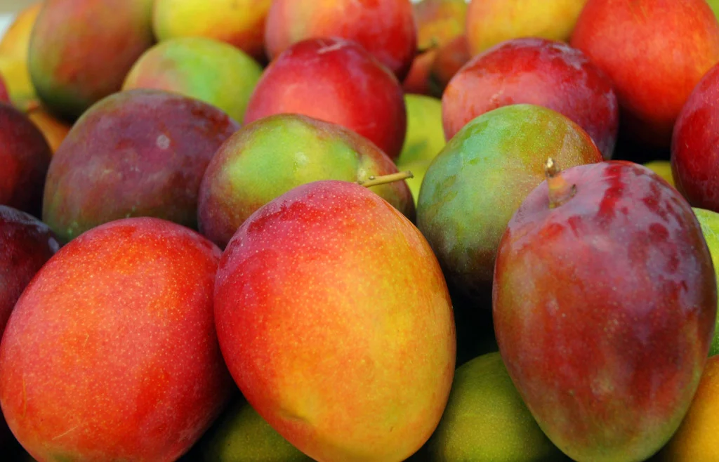 mango-1024x658.jpg