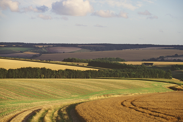 Used by CC license. Mere by Natural England.&nbsp;http://ow.ly/iT1K3005ycH