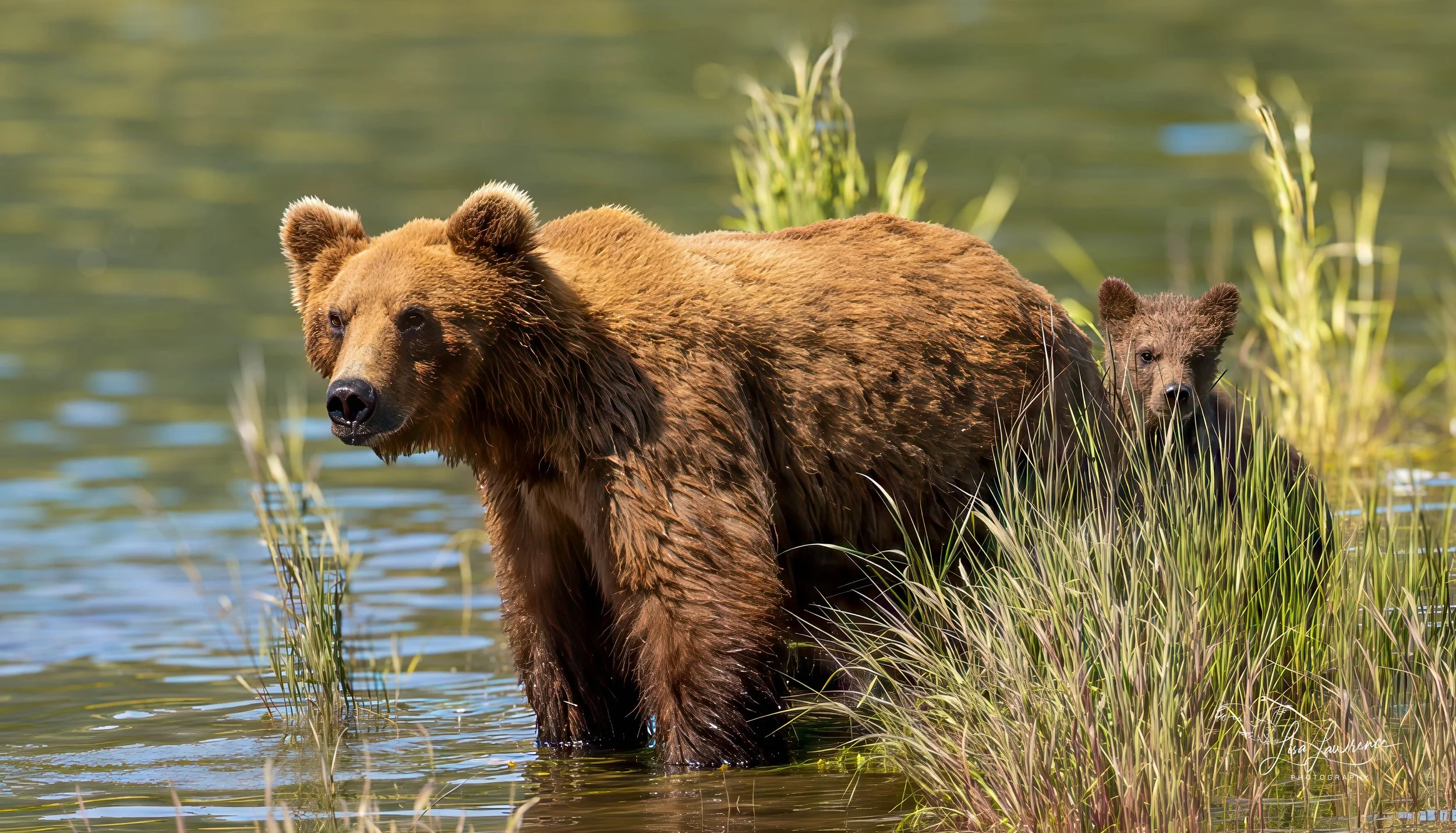 MOM AND COY 1 (1 of 1).jpg