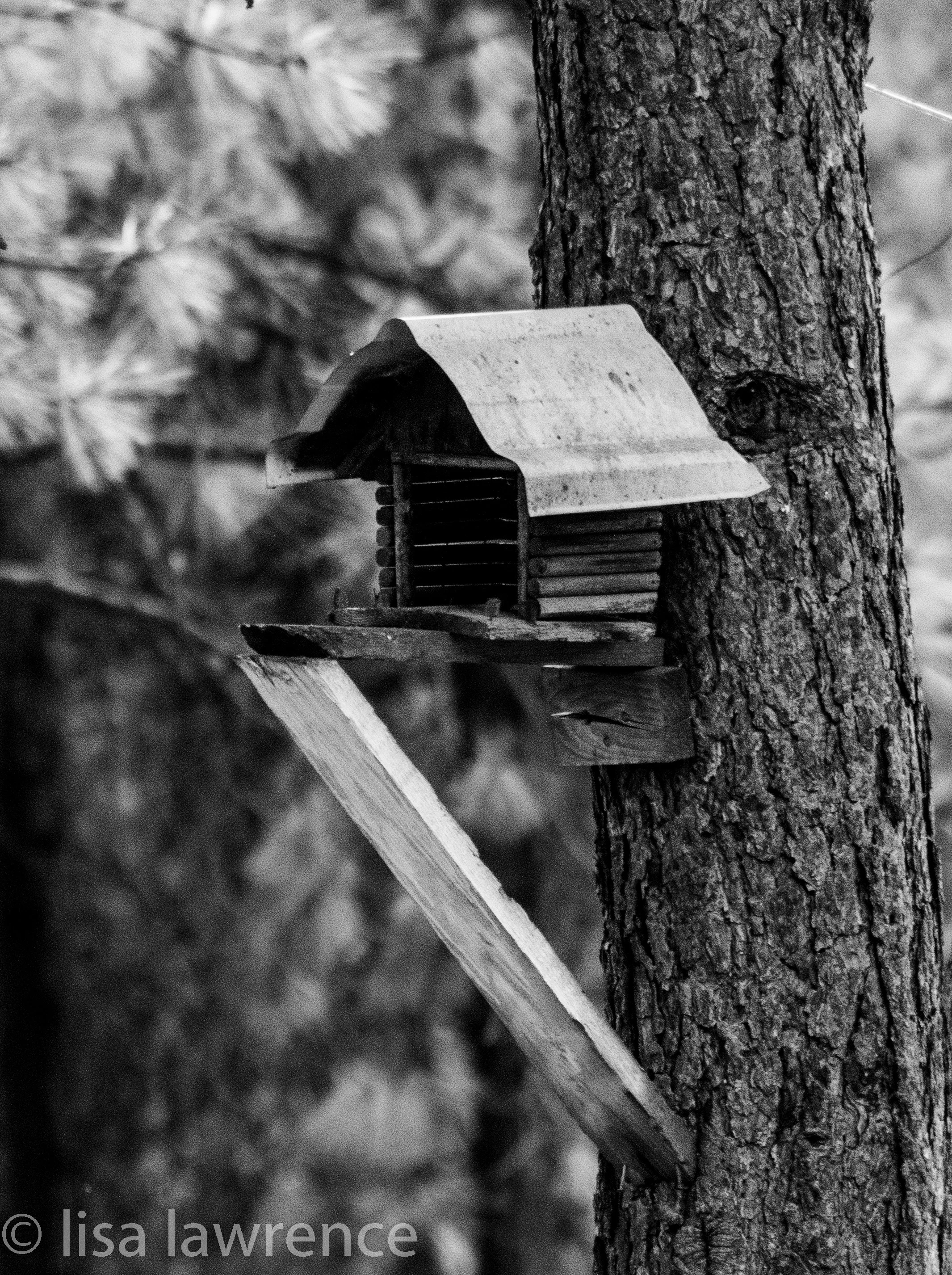 Bird House