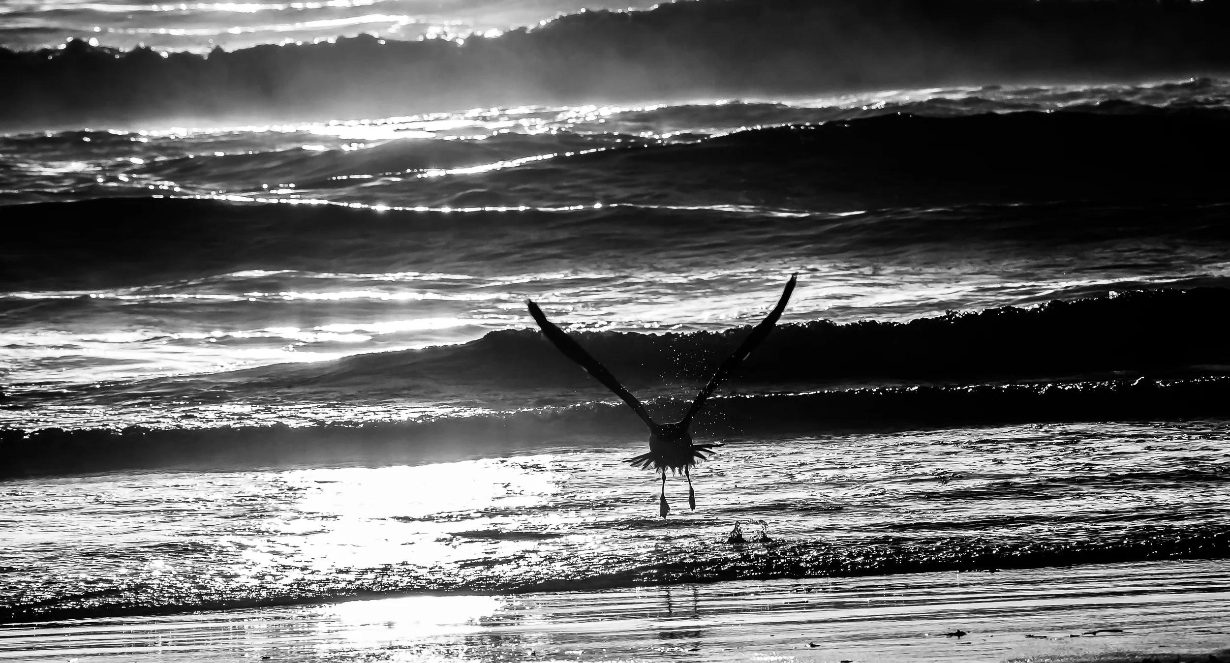 Moonstone Beach