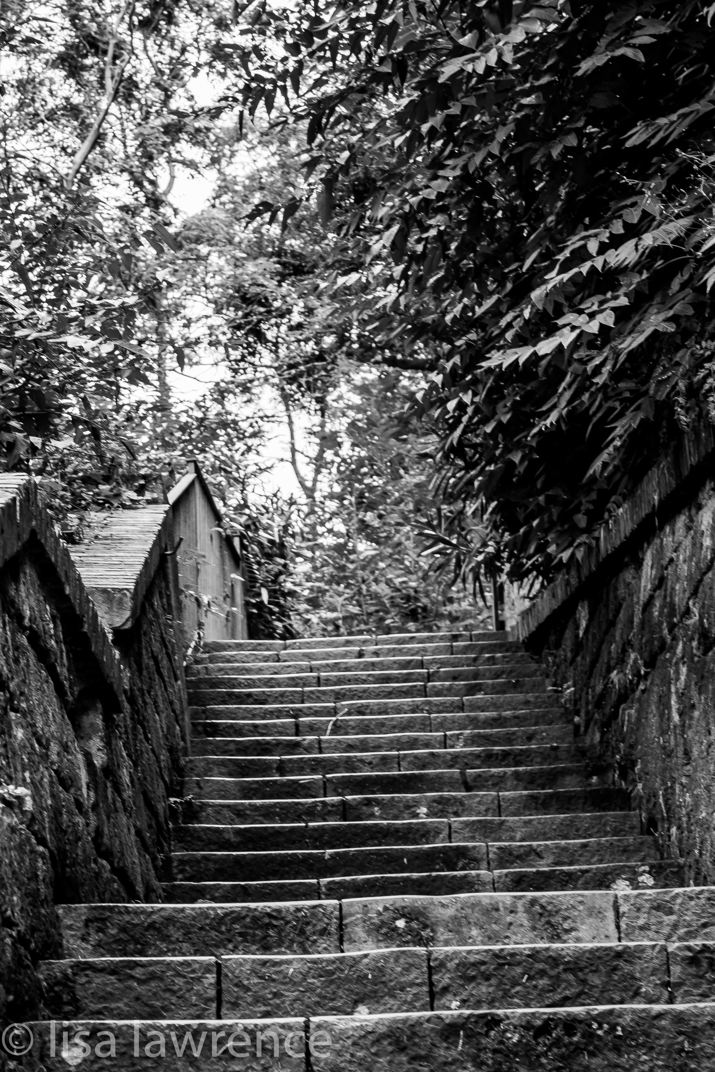 Stairway from Marina Piccola to the City Sorrento