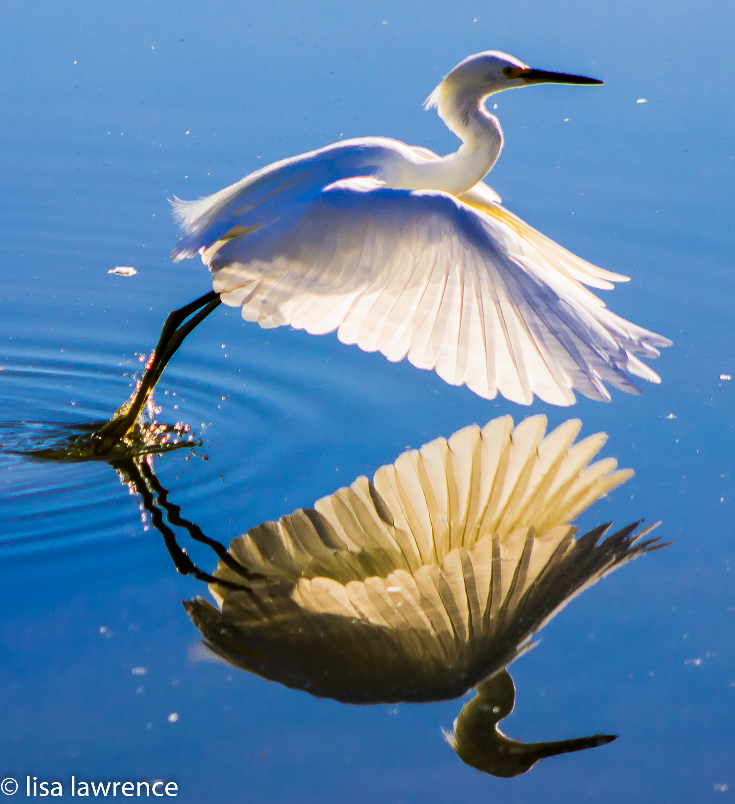 Reflection