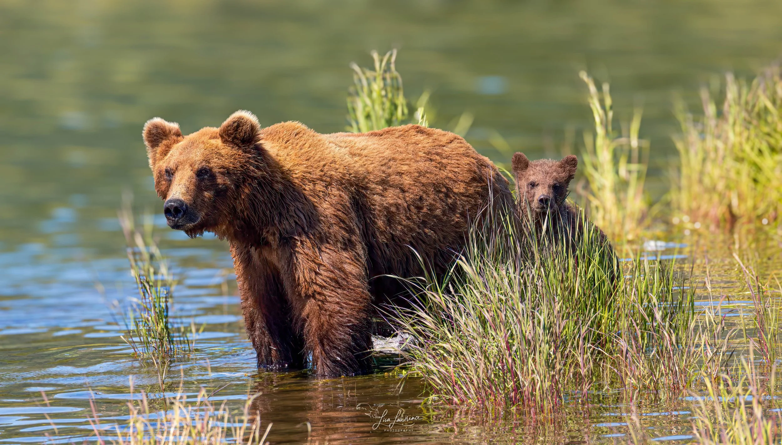 website mamacoy1 (1 of 1).jpg