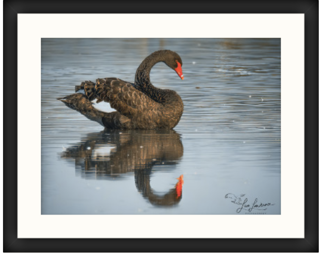 Screenshot 2024-09-06 at 6.59.58 PM.png