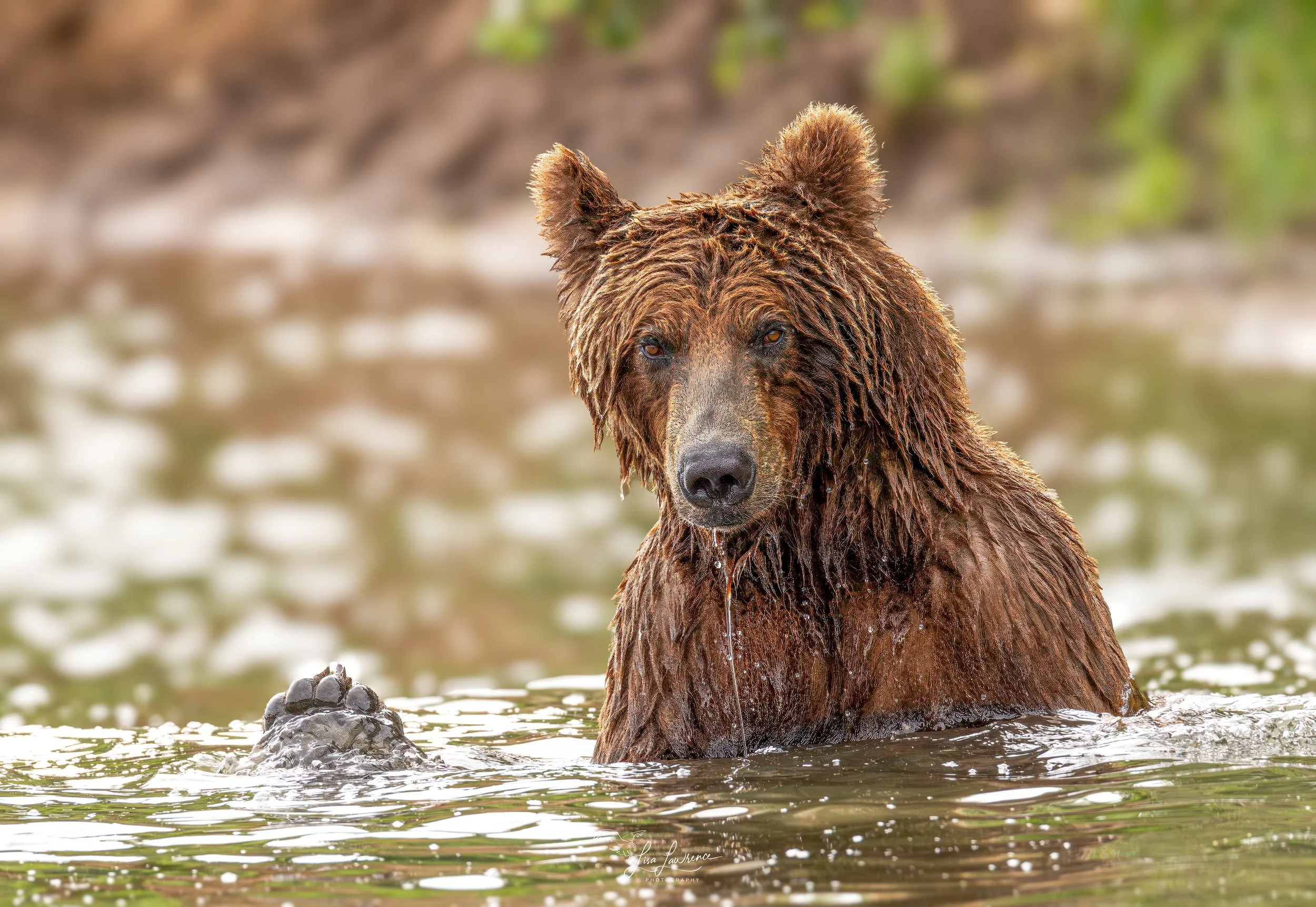 504 jacuzzi (1 of 1).jpg