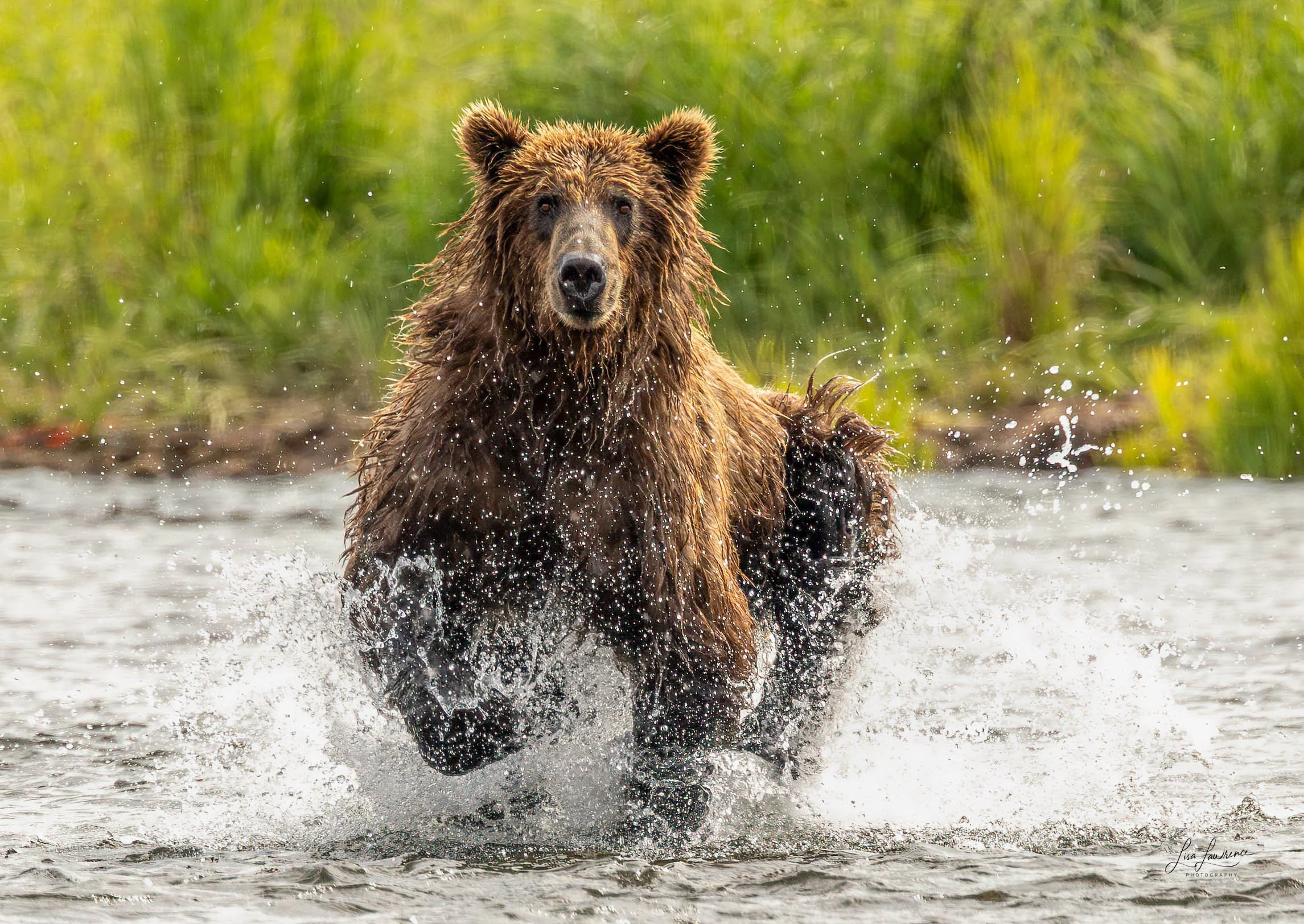 bbwebsite1 (1 of 1).jpg