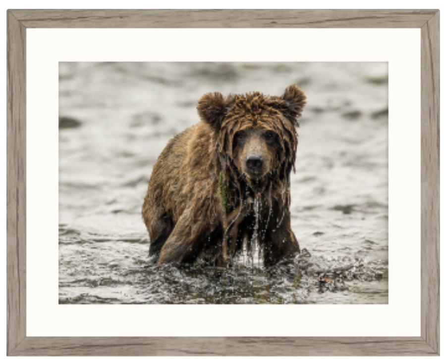 Screenshot 2025-08-24 at 11.51.50.png