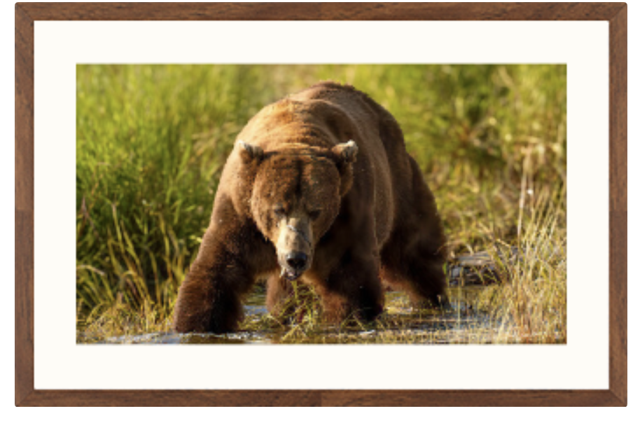 Screenshot 2025-09-07 at 13.10.58.png