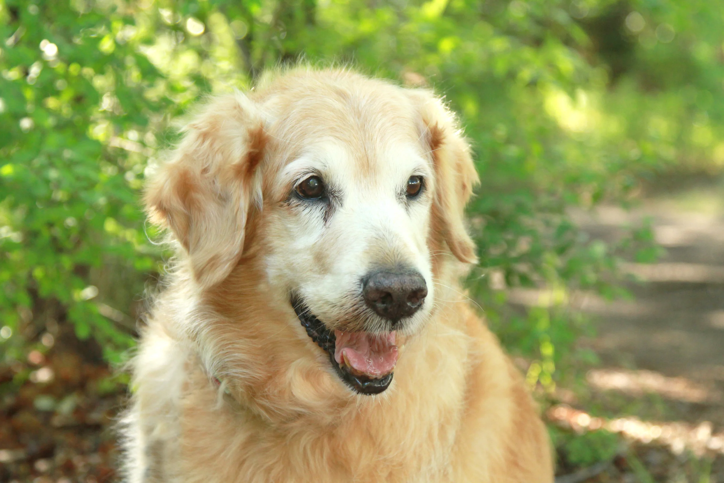 In Memory of Sunni Stockton | By Gene & Marge Stockton