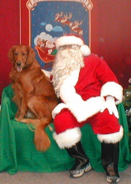In memory of Milo